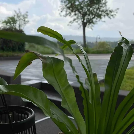 Helle 1-zimmer Souterrainwohnung In Ruhiger Lage! *