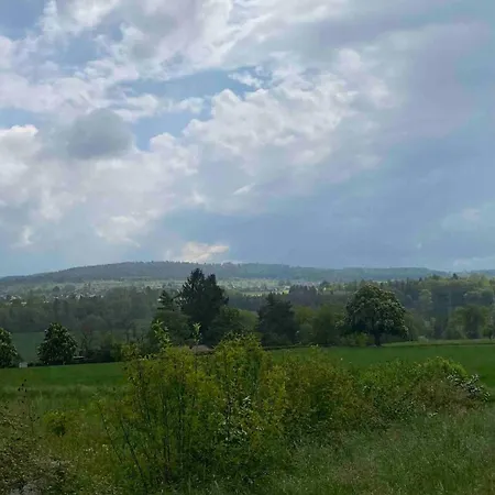 Helle 1-zimmer Souterrainwohnung In Ruhiger Lage! 티펜브론