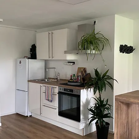 Helle 1-zimmer Souterrainwohnung In Ruhiger Lage! 아파트 티펜브론